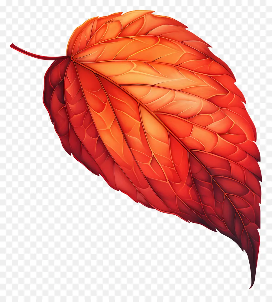 leaf red leaf veins texture colors