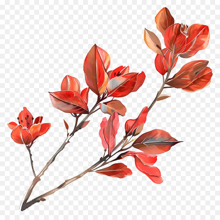 rote Blume - Lebendiges Aquarellmalerei von Blumenblumen