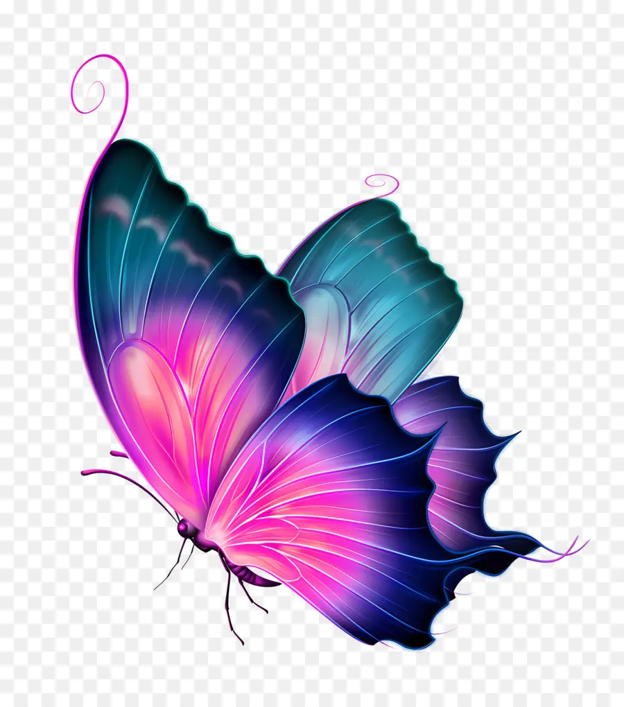 Mariposas Schmetterling rosa blaue Federn - Federrücken und blaues Schmetterling fliegen