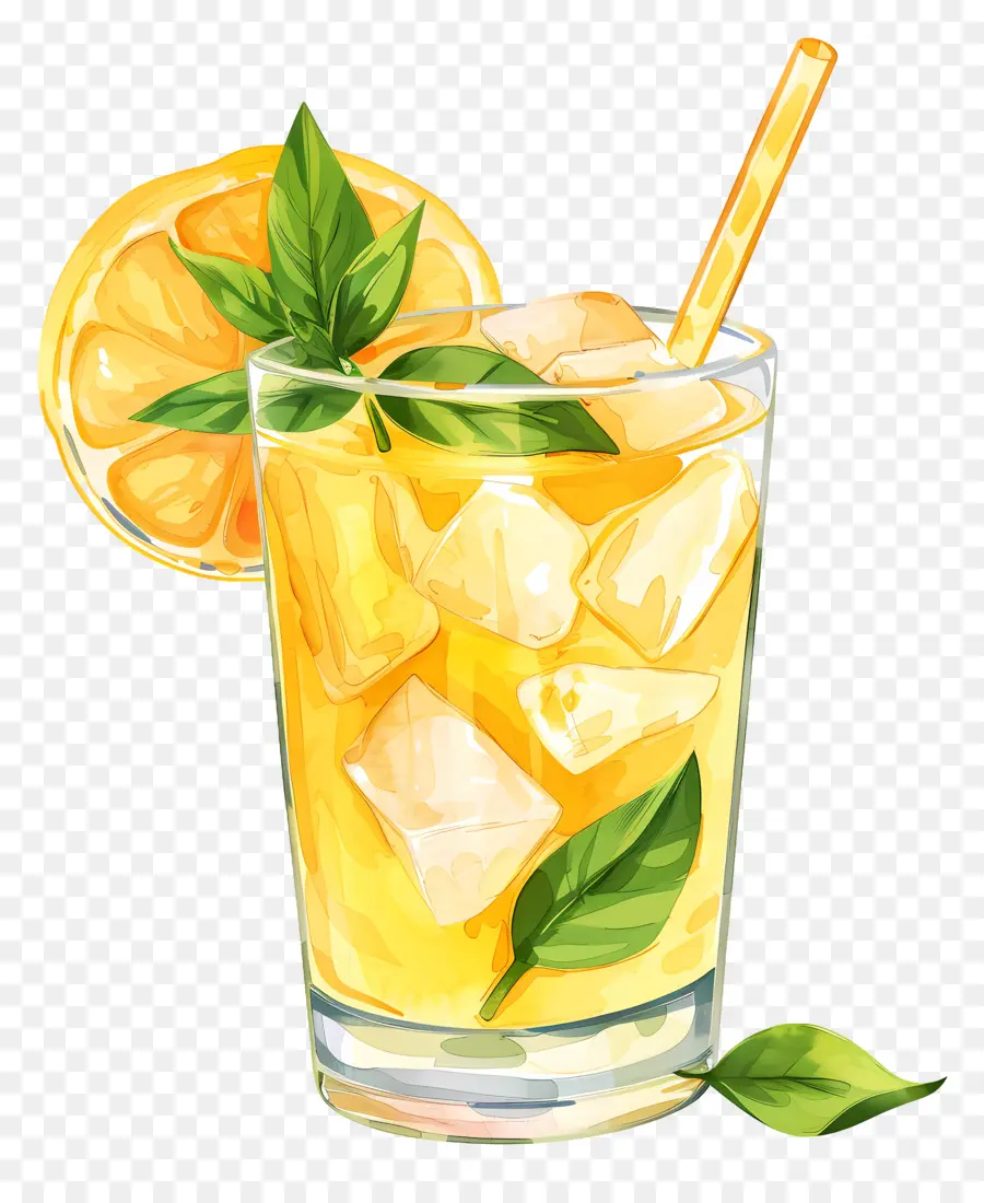 zitronenscheibe - Orange Getränk mit Eis, Zitrone, Minzblätter