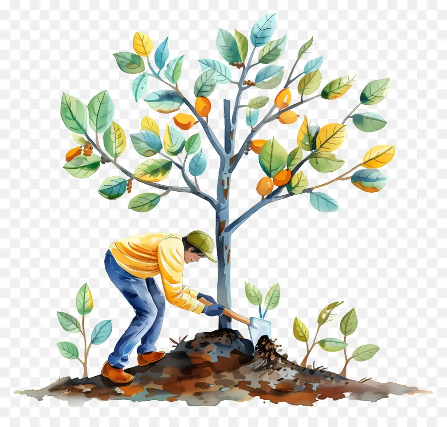 Baumanpflanzung Baumpflanzung Gartenlandschaftsbau umweltfreundlich - Mann pflanzt Baum im Aquarellstil