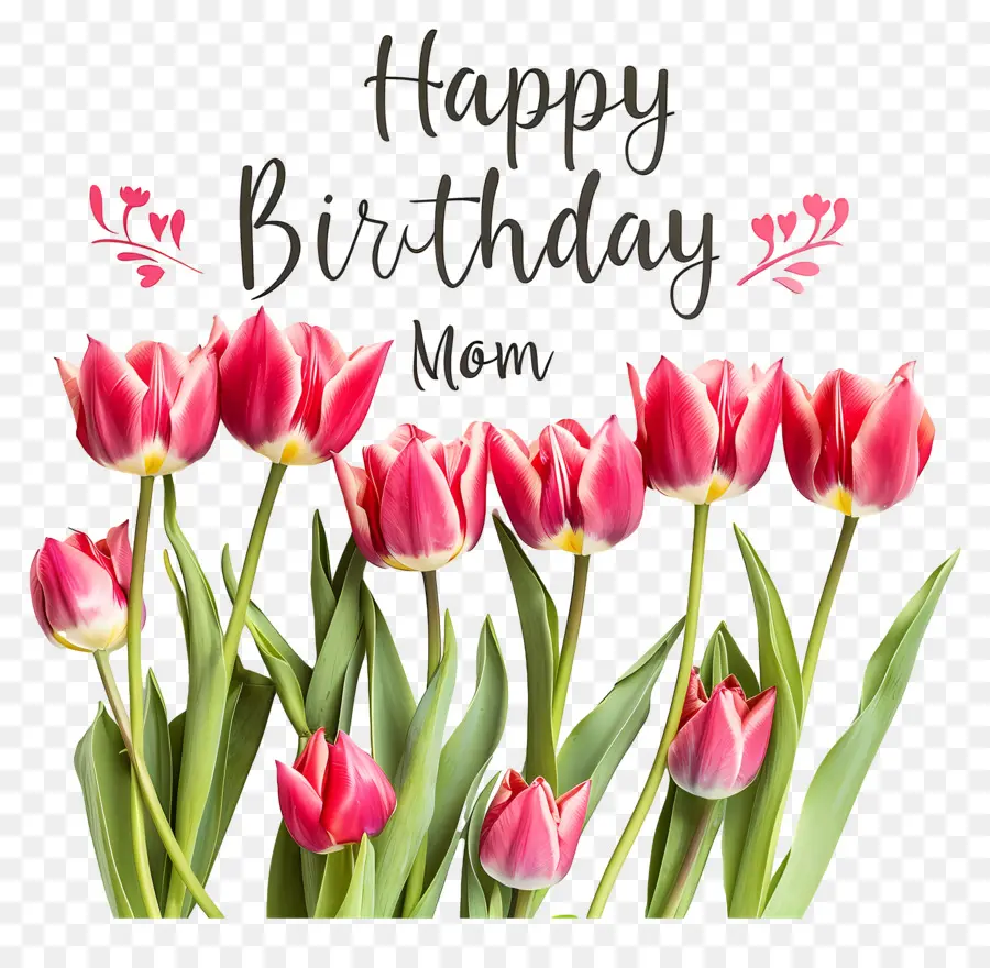chúc mừng sinh nhật mẹ mẹ mẹ tulip vui vẻ - Hoa tulip màu hồng, nền đen, chúc mừng sinh nhật