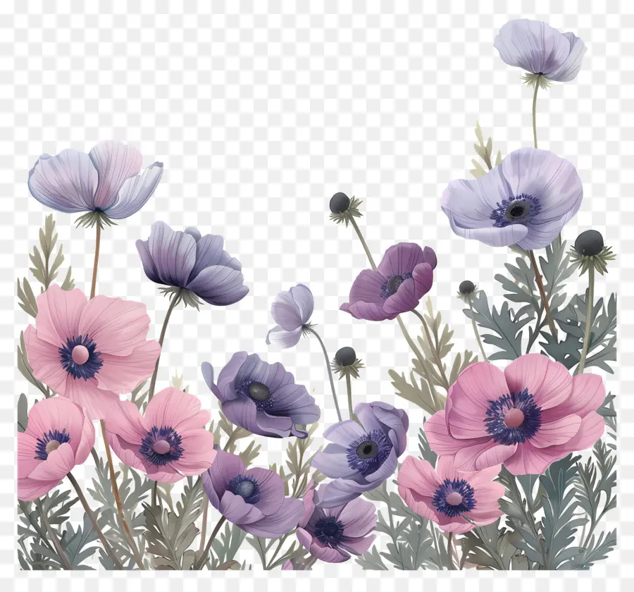 disegno floreale - Vibranti fiori rosa e viola sullo sfondo nero
