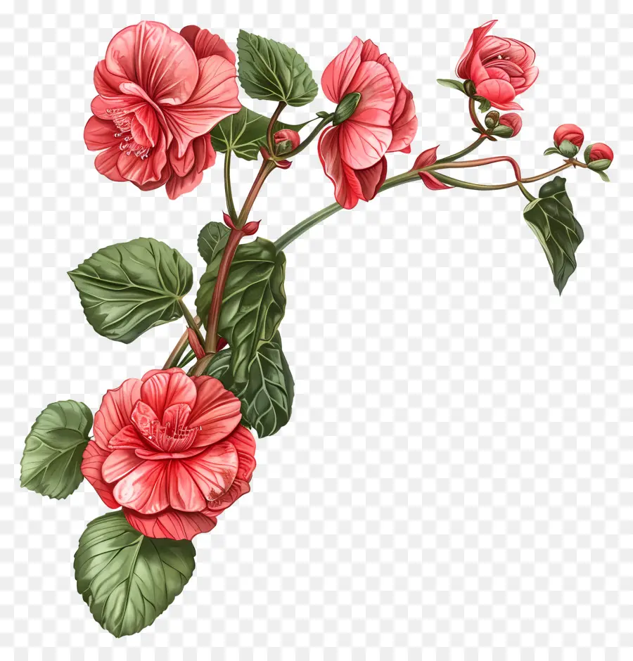 Blumen Dekoration - Zweig mit rosa Hibiskusblüten in der Dunkelheit