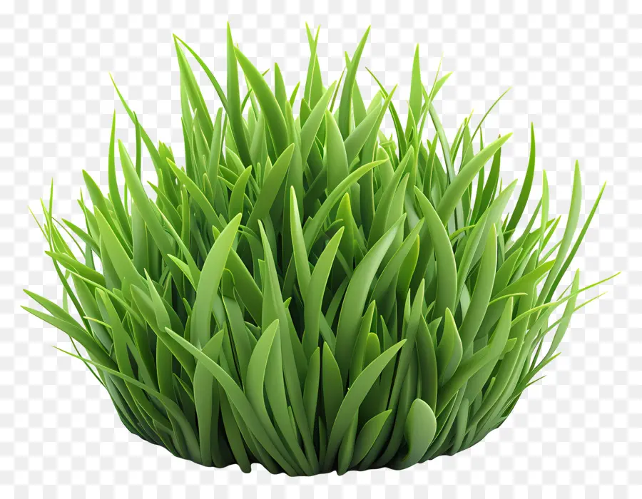 erba cespuglio erba verde foglie lussureggianti erba fresca taglio erba - Erba verde fresca su sfondo nero