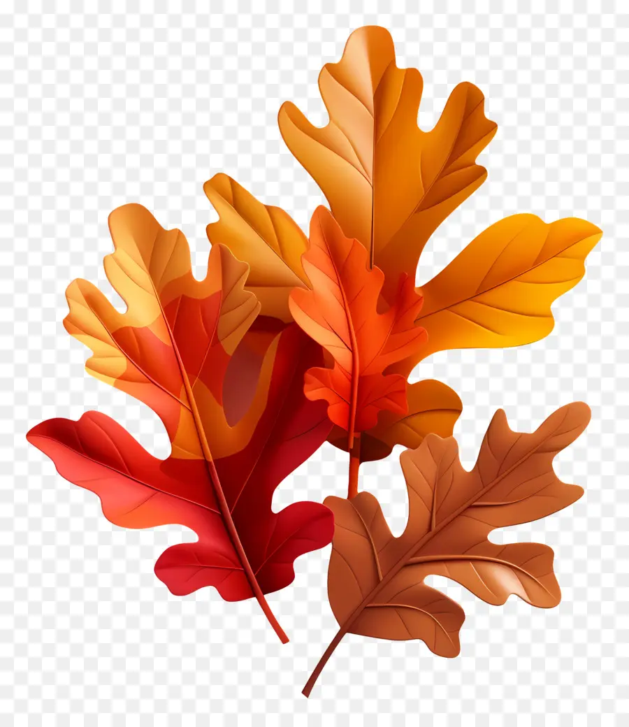 caduta foglie - Vibranti foglie di acero arancione e giallo