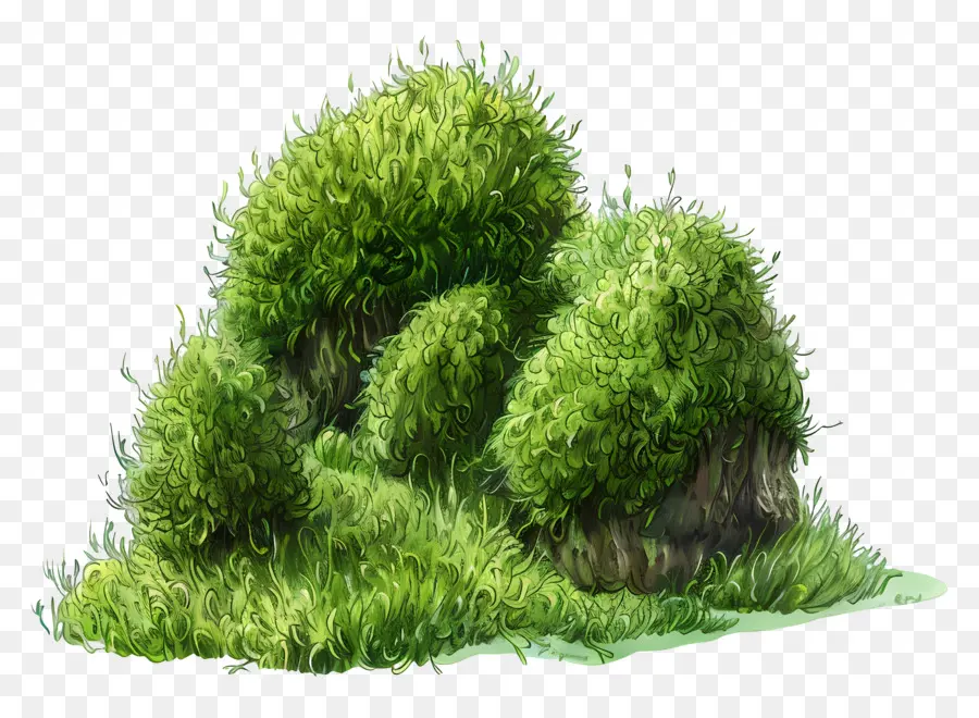 paesaggi verdi del muschio verde cespugli - Paesaggi di erba verde con rocce, scena calmante