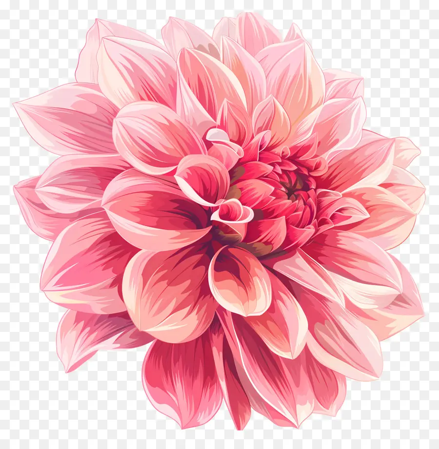 rosa Blume - Rosa Blume mit fünf Blütenblättern und Blättern