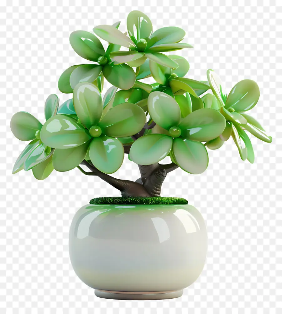 grüne Blume - Grüne Blume im weißen Topf auf schwarzem Hintergrund