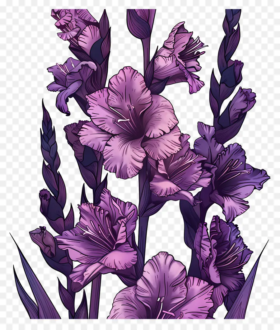 lila gladiolus dunkelviolette Blumenstrauß Lilien Glas - Dunkelviolettes Blumenstrauß mit langen Stielen