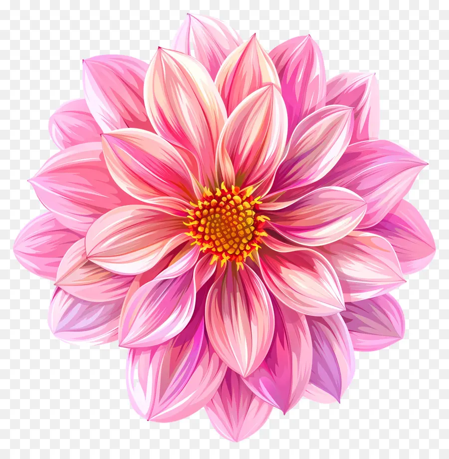 fiore rosa - Fiore a forma di stella rosa con centro giallo
