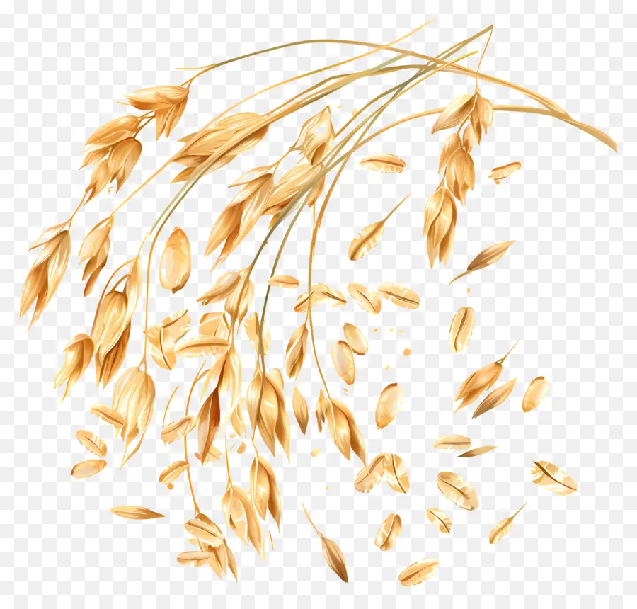 grano - Gambi di grano dorato ondeggiano nella brezza