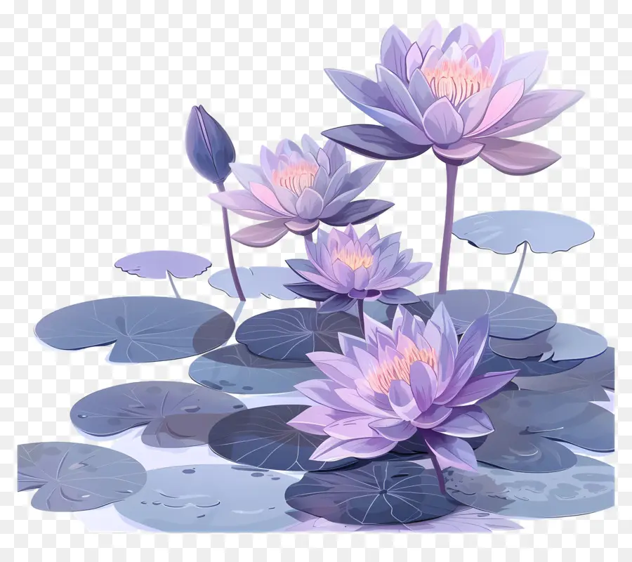 gliene viola gigli di loto fiori gigli per acqua di fiori viola tranquillità - Pacifici fiori di loto su acqua serena