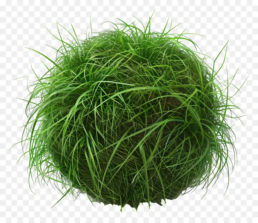 Graskugel Grüne Gras Kugel Botanische Kugel 3d Grasball Künstliche Graskunst - Grüne Graskugel auf schwarzem Hintergrund