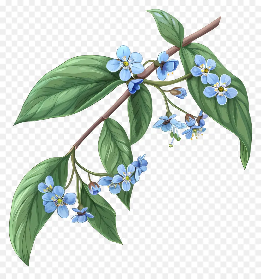 non dimenticarmi i fiori blu fiore fiori viola fiori rosa foglie verdi - Ramo fiorito colorato con consistenza cerosa