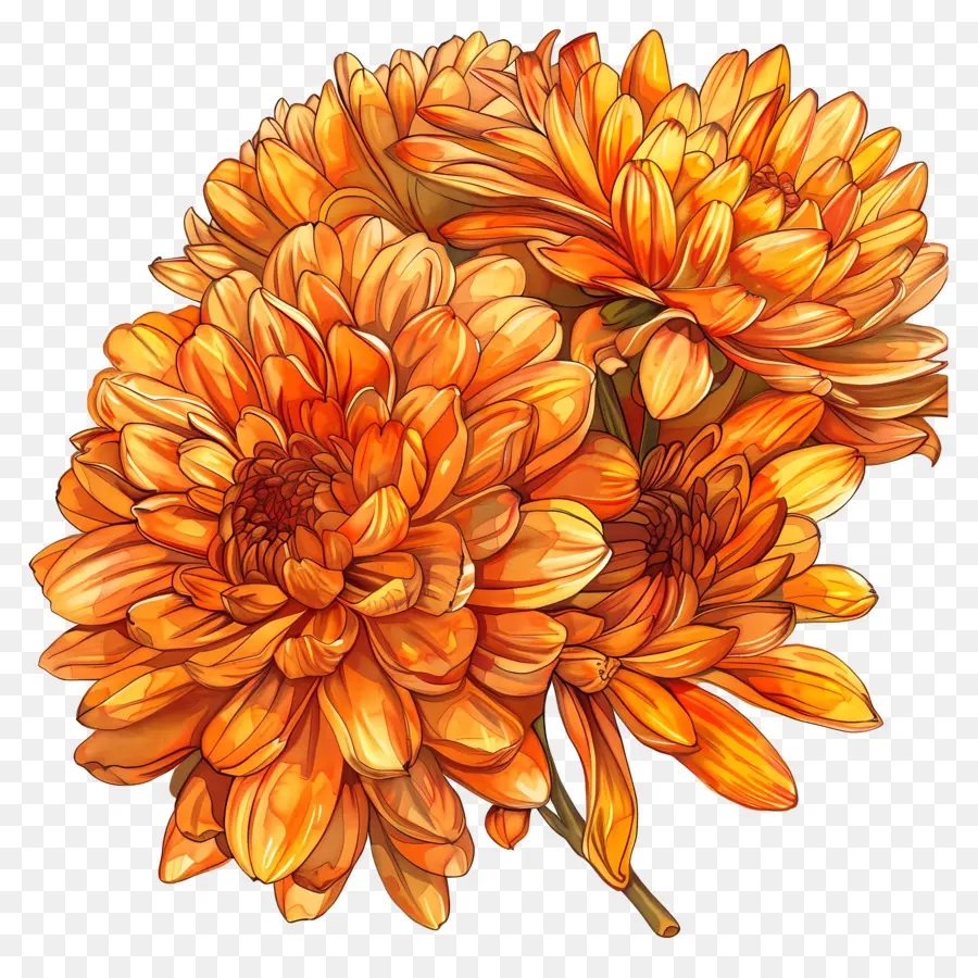 bouquet di fiori - Bouquet di Chrysanthemum vibrante su sfondo scuro