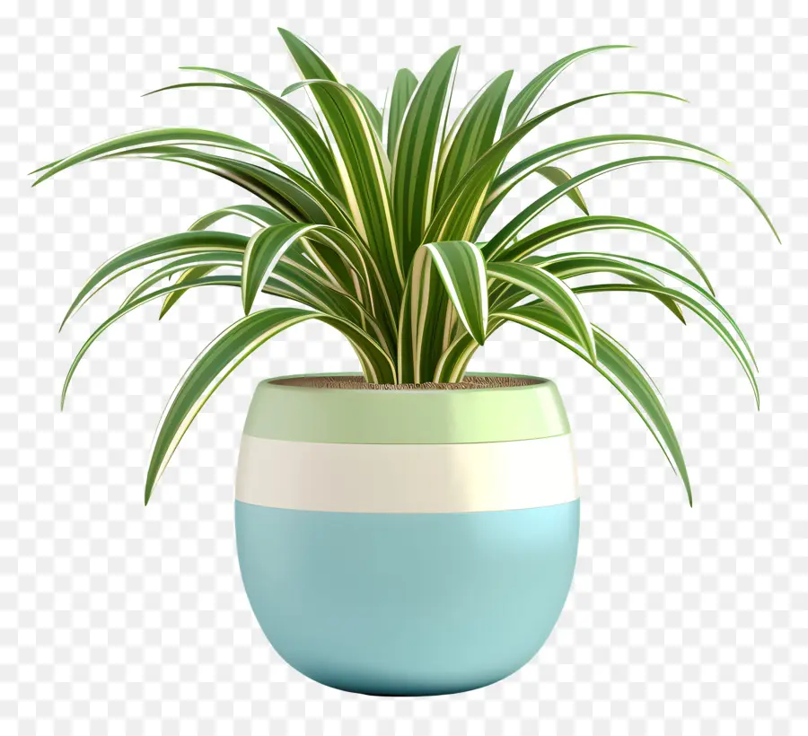 Topfspinnen Pflanze gestreifte Vase Blau und grüne Vase Home Decor modernes Haus - Moderne Wohnkultur mit grünen Pflanzen Vase