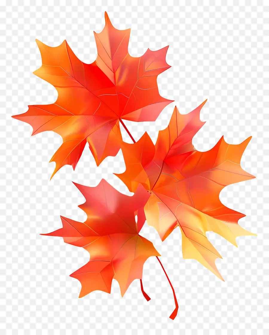 Blätter fallen - Gruppe von glänzenden roten Ahornblättern Dreieck