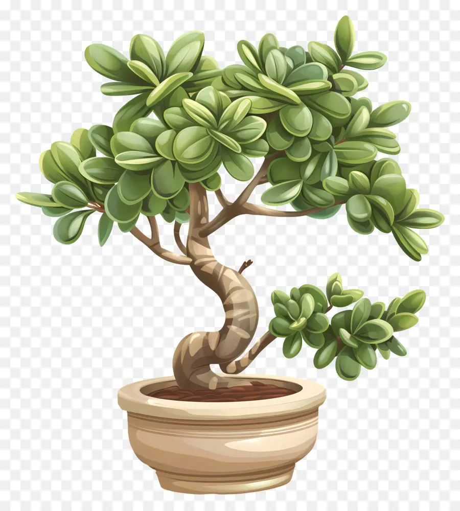 bonsai Baum - Realistischer Bonsai -Baum mit grünen Blättern
