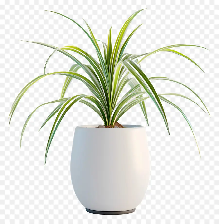 Topfspinnen Pflanze Keramik Pflanzentopf Sukkulente Pflanzen grüne Pflanzen Pflanzenkolbendesign - Weißer Keramik -Topf mit grünen Sukkulenten