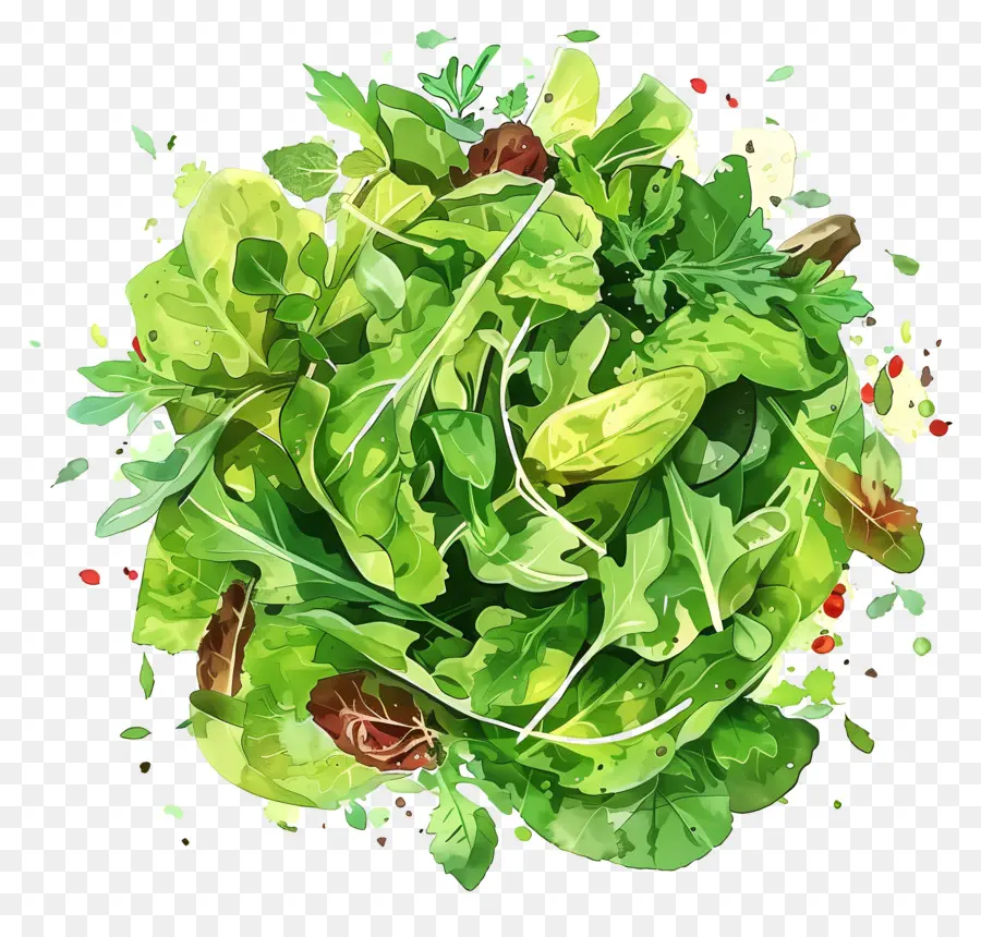 Salat - Lebendige grüne Salatblätter in der Schüsselausstellung