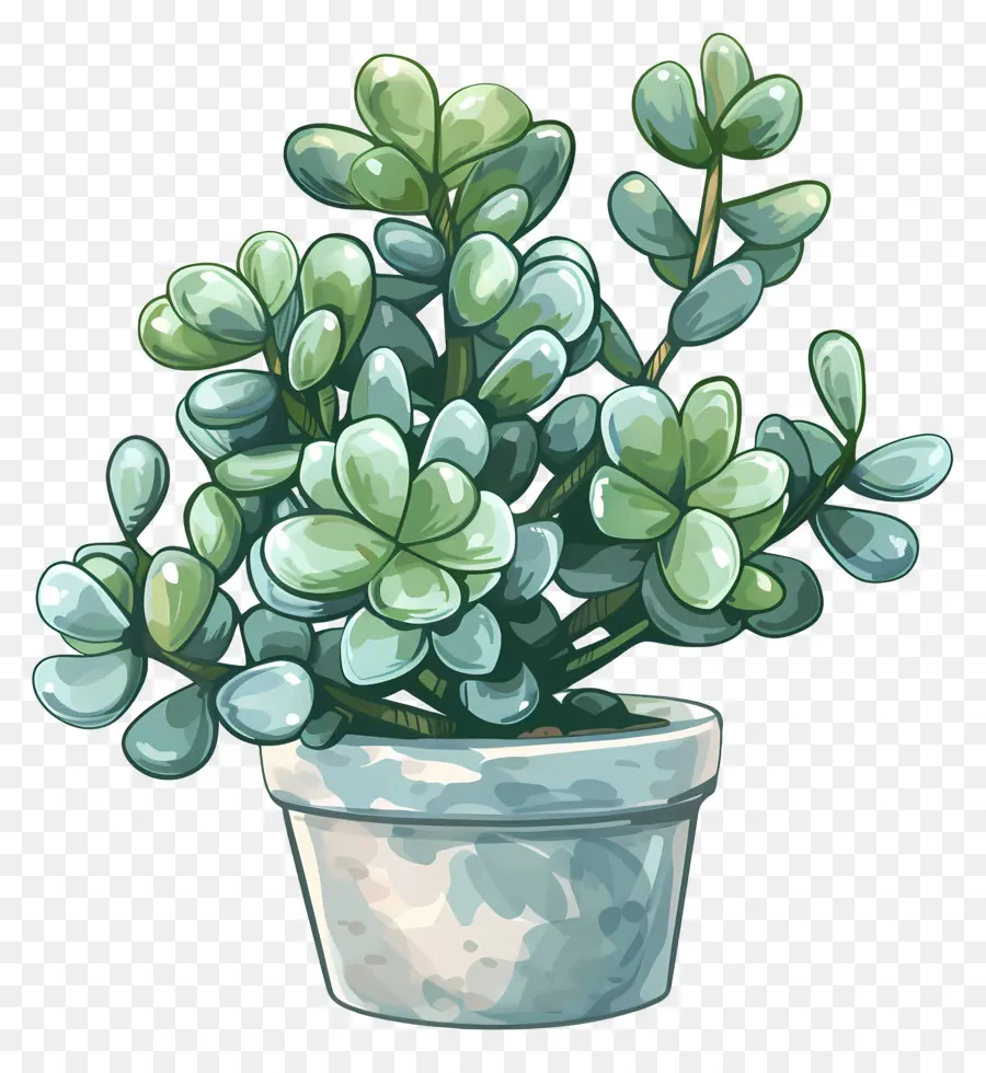 Crassula Jade Aquarellmalerei malt Topfpflanze Sukkulente grüne Blätter - Realistische Aquarellabbildung von Topfers Sukkulenten Pflanze