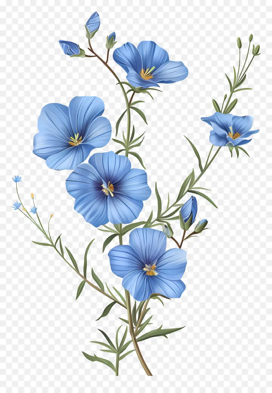 blue linum perenne blue flowers five petals three stamens small flowers