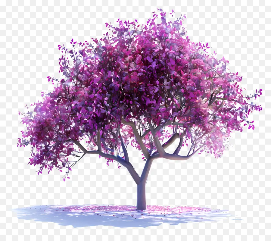 I fiori di albero rosa dell'albero di Giuda fioriscono belli - Immagine realistica dell'albero di fioritura rosa