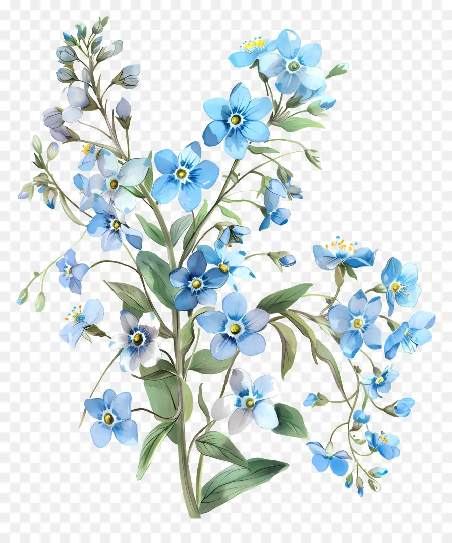 Blaue Blume - Nahaufnahme von Blue Vergiss-Me-NOT-Blume, glasähnliches Aussehen
