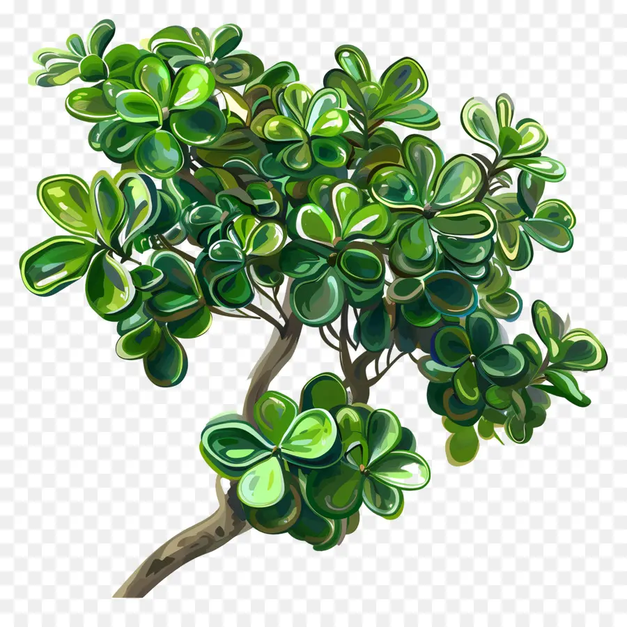 pianta di giada ondulazione pianta verde foglie grandi steli focalizzati acuti - Rappresentazione realistica e dettagliata della pianta verde
