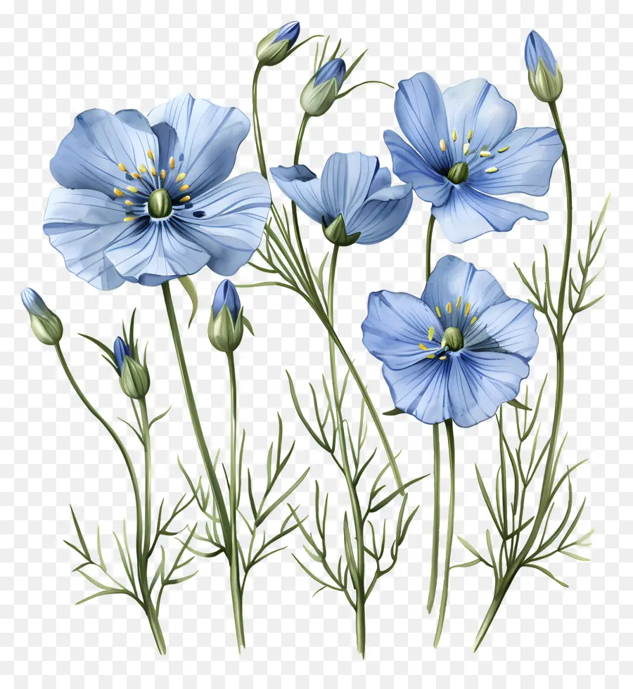 Blue Linum Perenne Aquarellmalerei Blue Wildblumen Bouquet Natural Magazine - Aquarellmalerei von blauen Wildblumen auf schwarzem Hintergrund