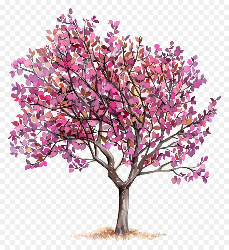 judas tree autumn tree pink flowers watercolor painting