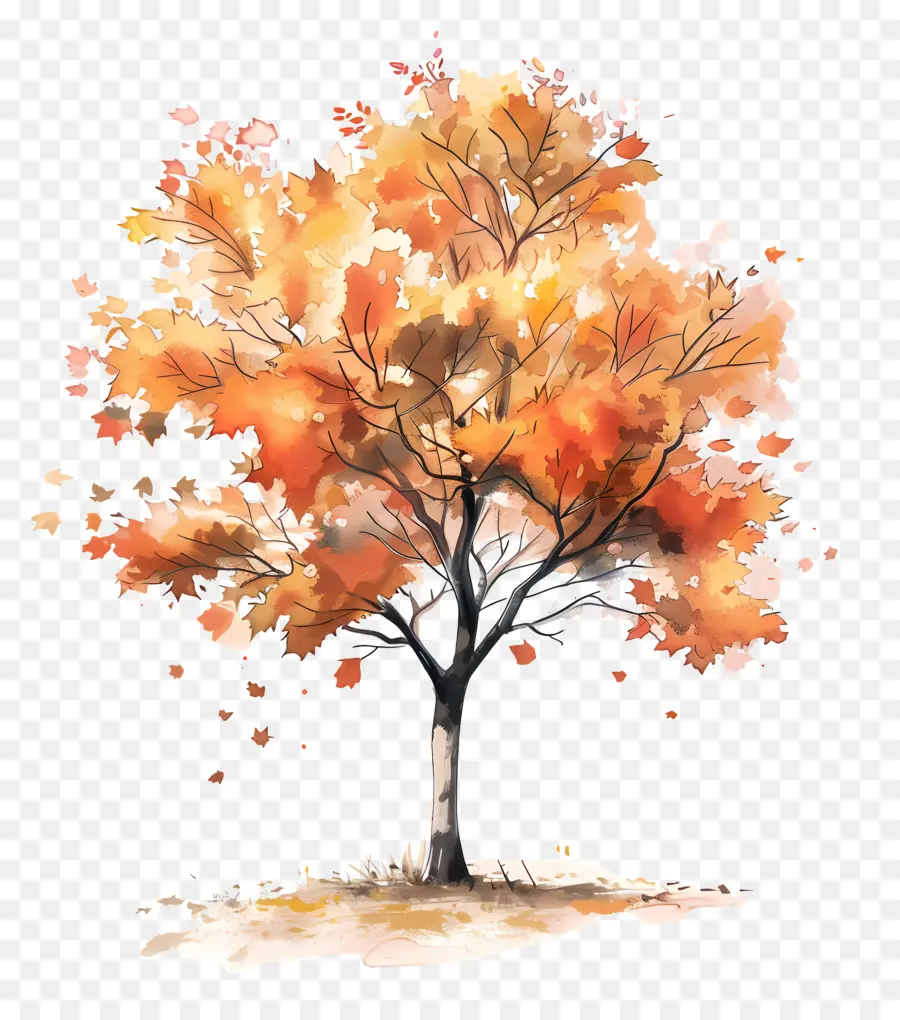 Ahorn Baum - Buntes Baum mit fallenden Blättern unter dem trüben Himmel