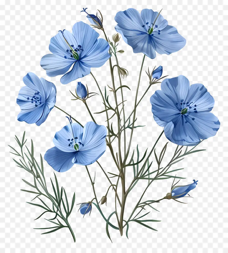 Fiori Da Giardino - Elegante bouquet di fiori blu su sfondo nero