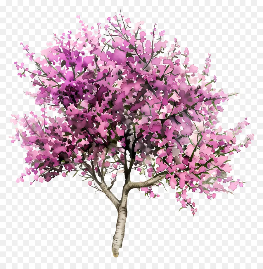 sfondo floreale - Albero in fiore con fiori rosa e viola