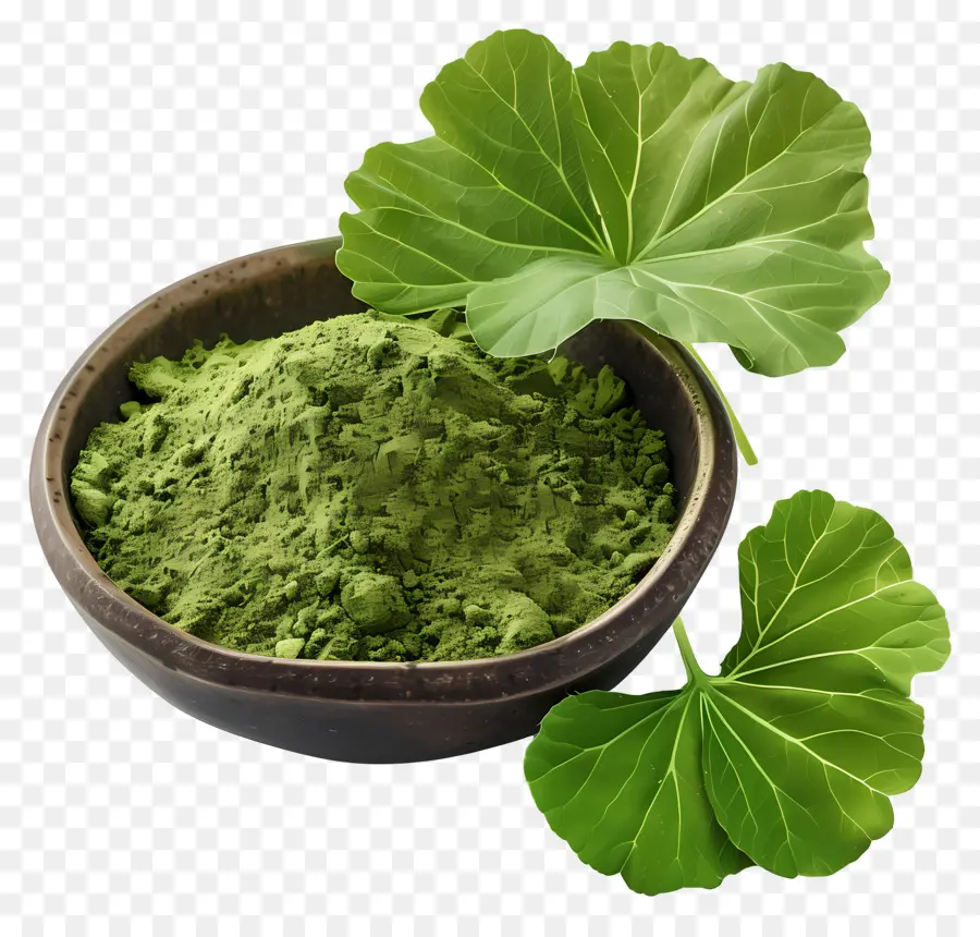 gotu kola pulver grün pulver kräutermedizin natürliche Heilmittel Blätter - Foto mit niedriger Auflösung von grüner Pulverschale