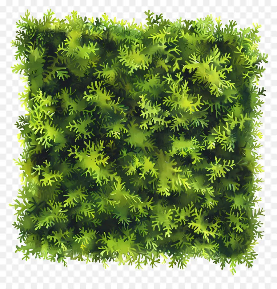 Xanh tường - Bức tường màu xanh lá cây với các nhà máy mô hình lưới
