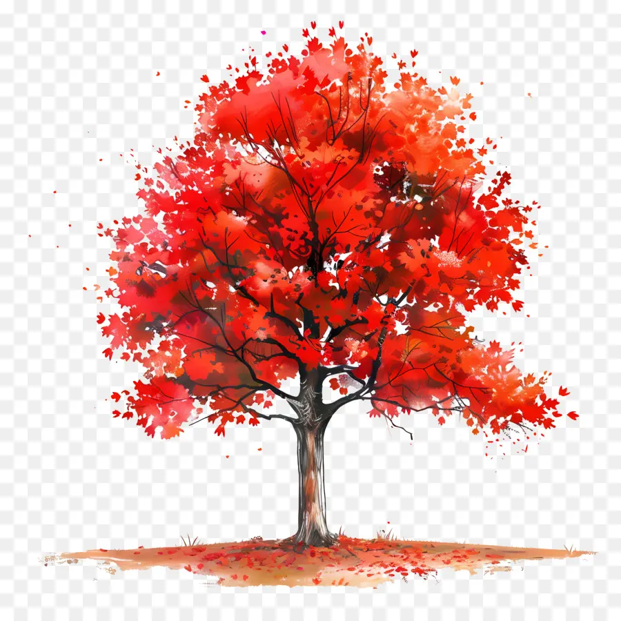 Ahorn Baum - Roter Baum mit gefallenen Blättern, friedliche Umgebung
