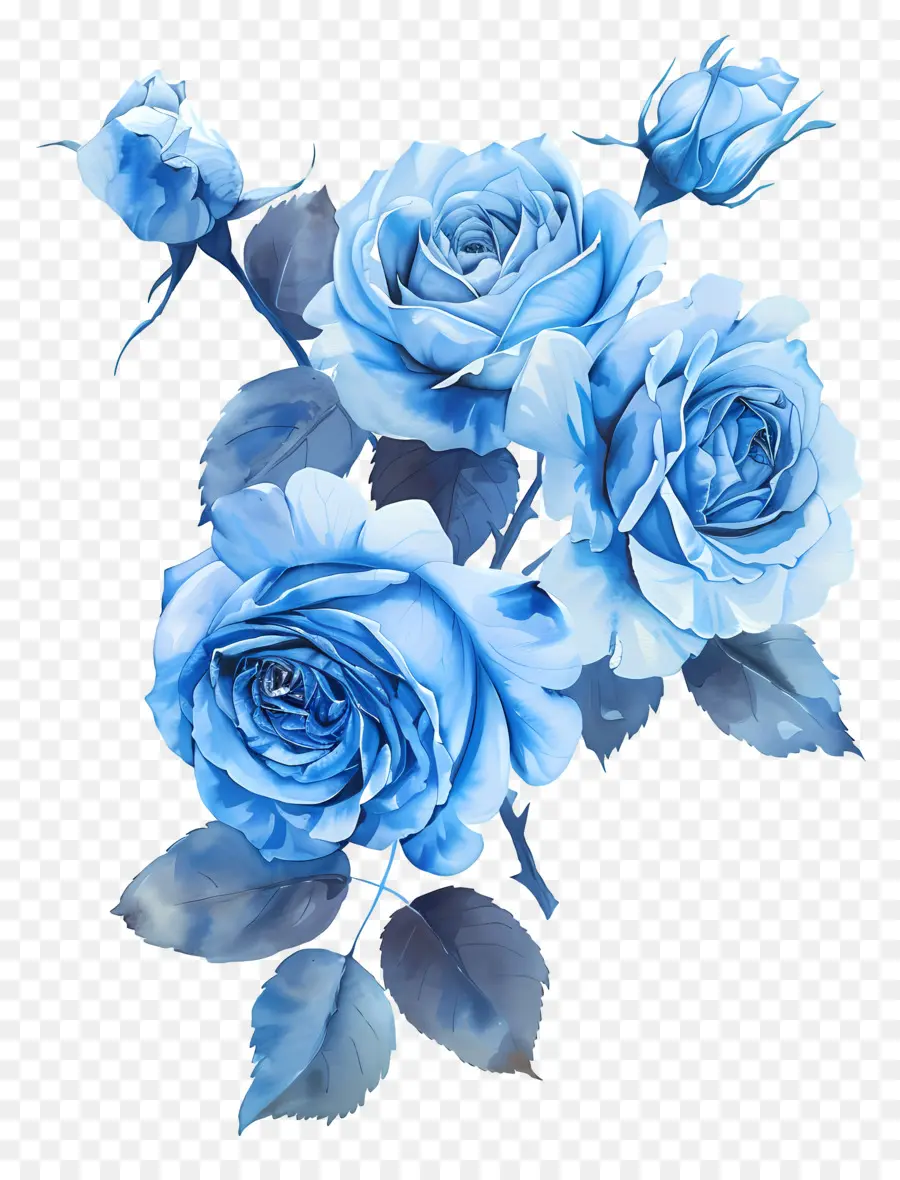 la disposizione dei fiori - Immagine dettagliata delle rose blu su nero