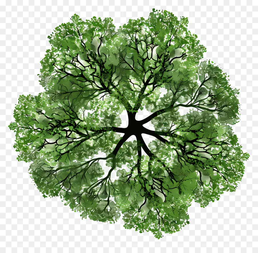 Baum planen - Kreisförmiger grüner Baum mit verbundenen Ästen