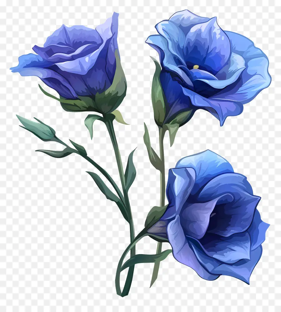 disegno floreale - Fiori blu con steli su sfondo nero