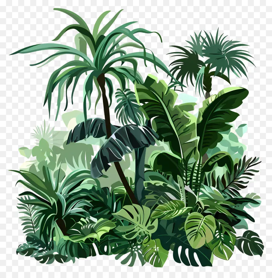 Dschungel Regenwald exotischer Dschungel Dschungel -Szene grüne Bäume Schwarze Bäume - Exotische Dschungelszene mit dunklem Hintergrund