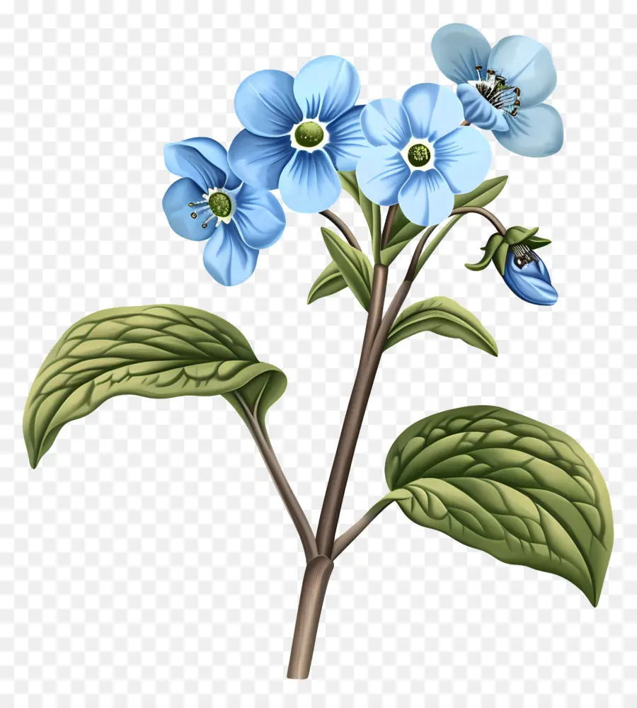 fiore blu - Fiore blu con foglie verdi su nero