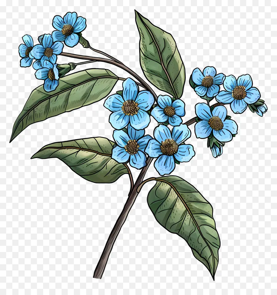 fiore blu - Fiore blu con petali bianchi e foglie