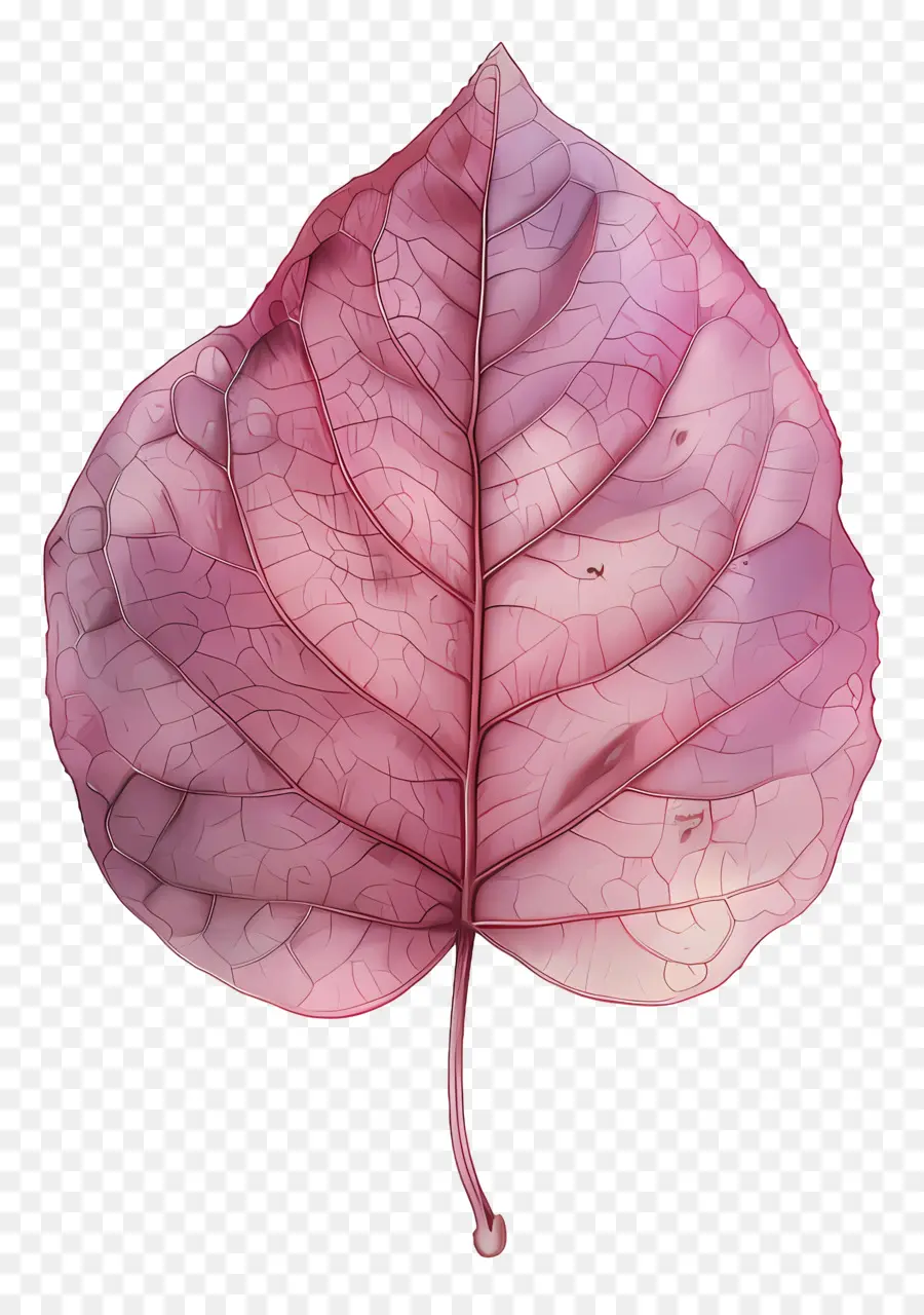 leaf watercolor painting pink leaf veins ragged edges