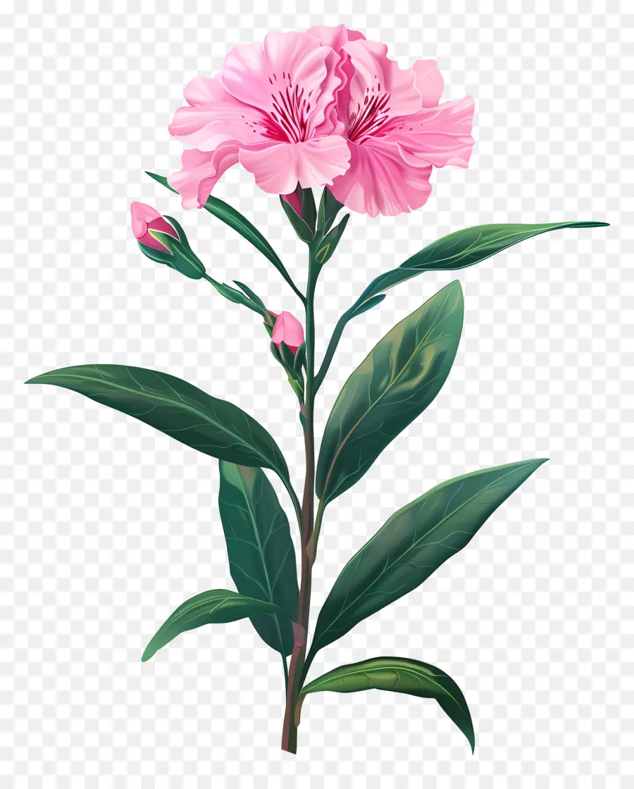 rosa Blume - Rosa Blume auf Stiel mit grünen Blättern