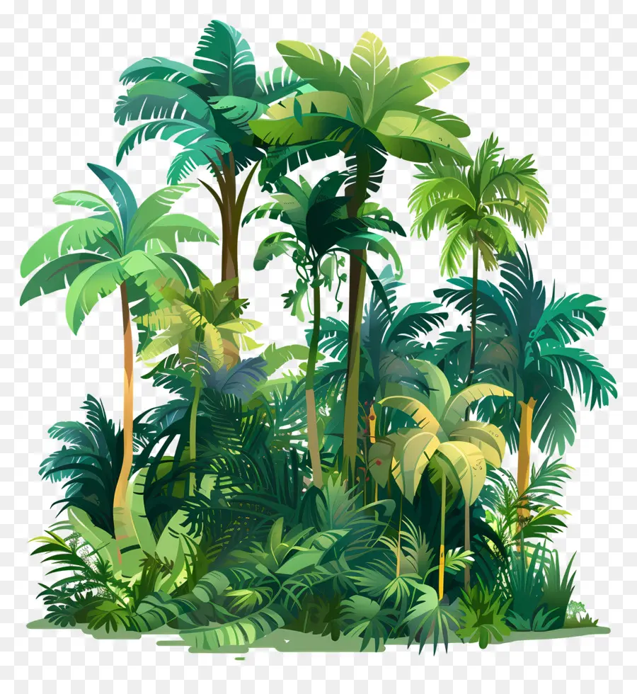 foresta pluviale tropicale giungla tropicali lussureggianti alberi verdi alti cespugli densi - Scena della giungla tropicale con vegetazione lussureggiante