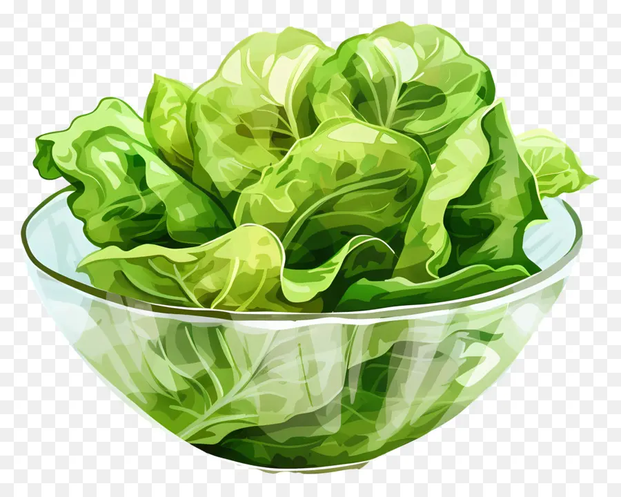 Salat - Frischer grüner Salat in schwarzem Hintergrund