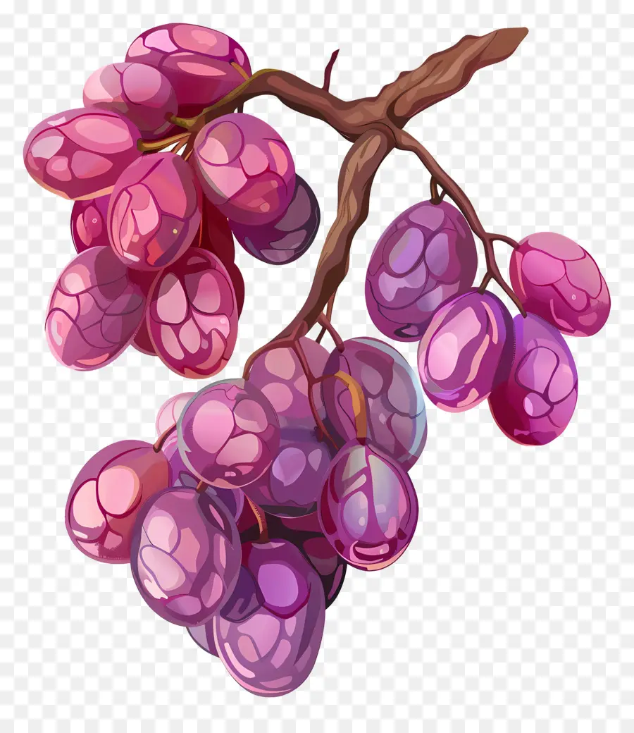 vitigno - Uva rossa succosa su vite, forme varie