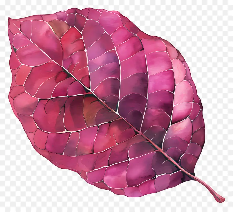 leaf heart-shaped leaf romantic painting dark center